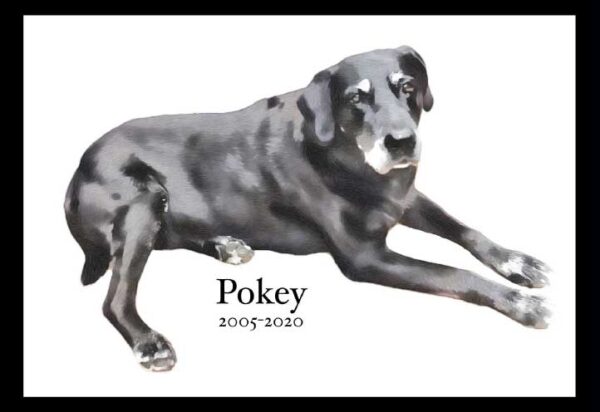 Pokey Portrait Series